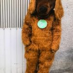 Botarga Perro