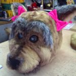 Botarga Perro