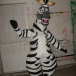 Botarga Cebra Madagascar