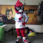Botarga Petirrojo