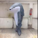 Botarga Tiburón Ballena